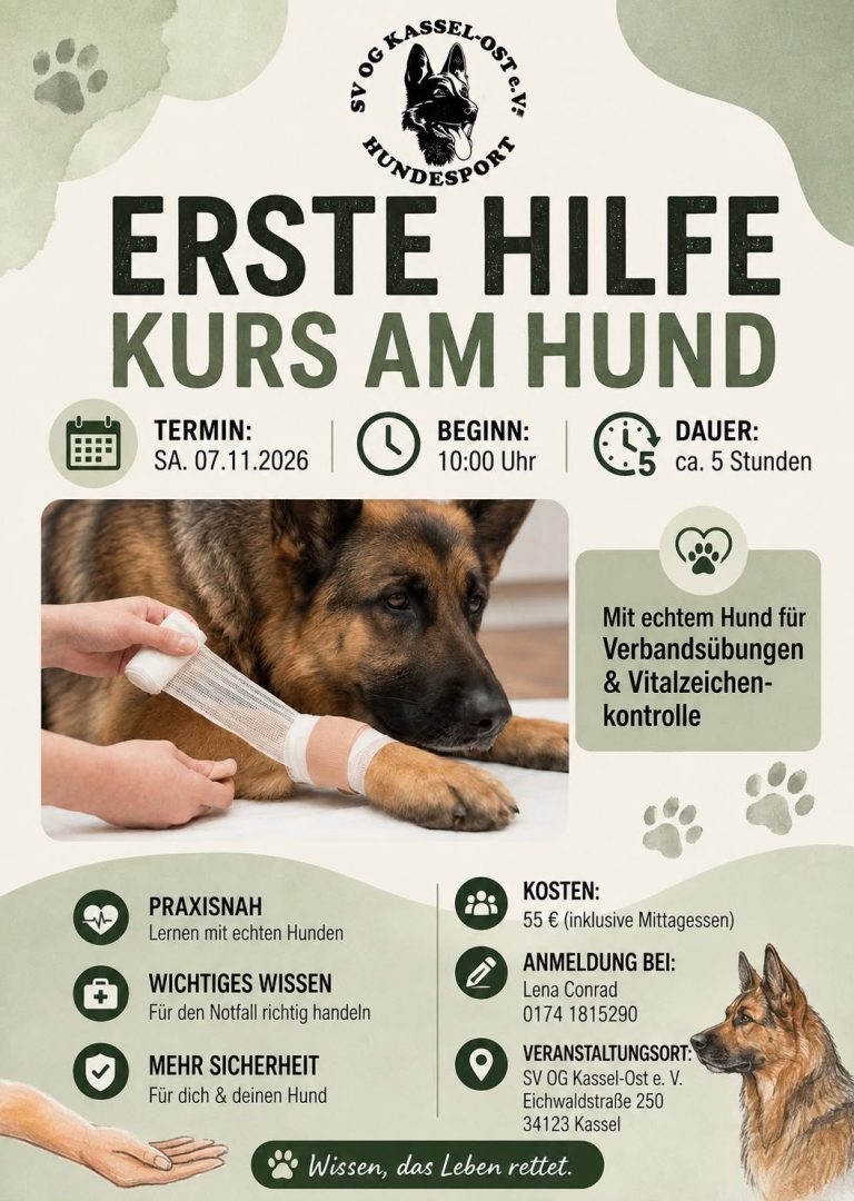 Das Bild verweist auf einen Erste-Hilfe-Kurs am Hund, der am 7.11.2026 um 10 Uhr statt findet.
